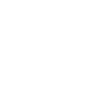 Chemnitzer_FC_Logo
