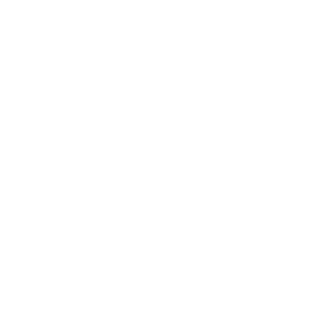 SV_Wehen_Wiesbaden_Logo_white