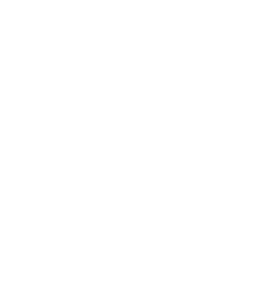 TSG_Hoffenheim_white
