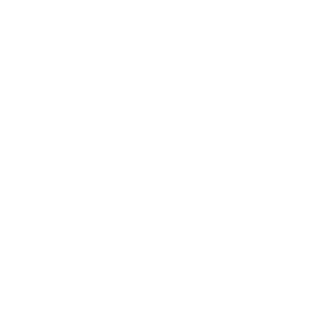 Turbine Potsdam_Logo_white