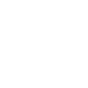 VfL_Wolfsburg_Logo_white